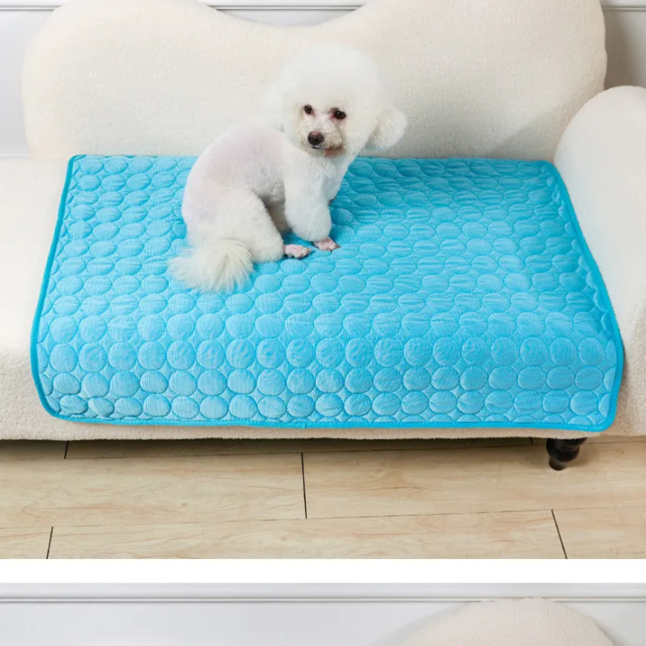 Tapis rafraîchissant pour chien avec effet réfrigérant