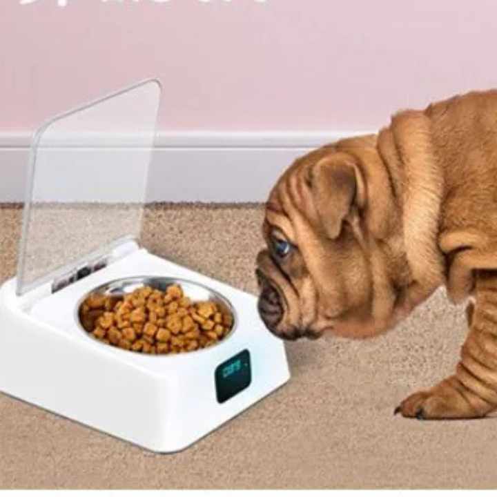 Bol Automatique Pet 5G Bowl | Distributeur Intelligent pour Animaux