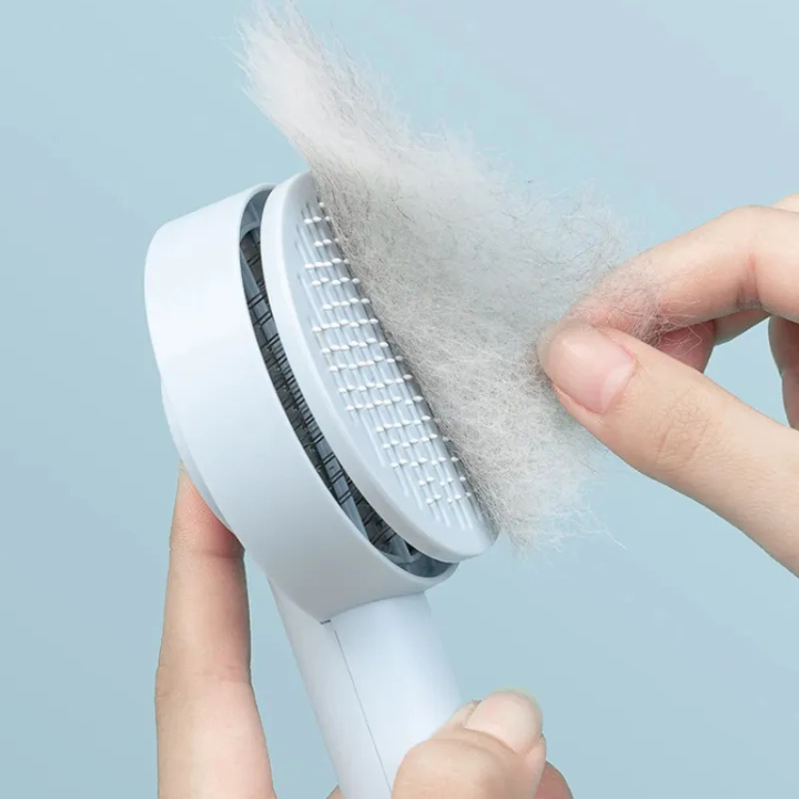 Brosse Aiguille Auto-Nettoyante pour Animaux | Peigne et Massage Chien Chat