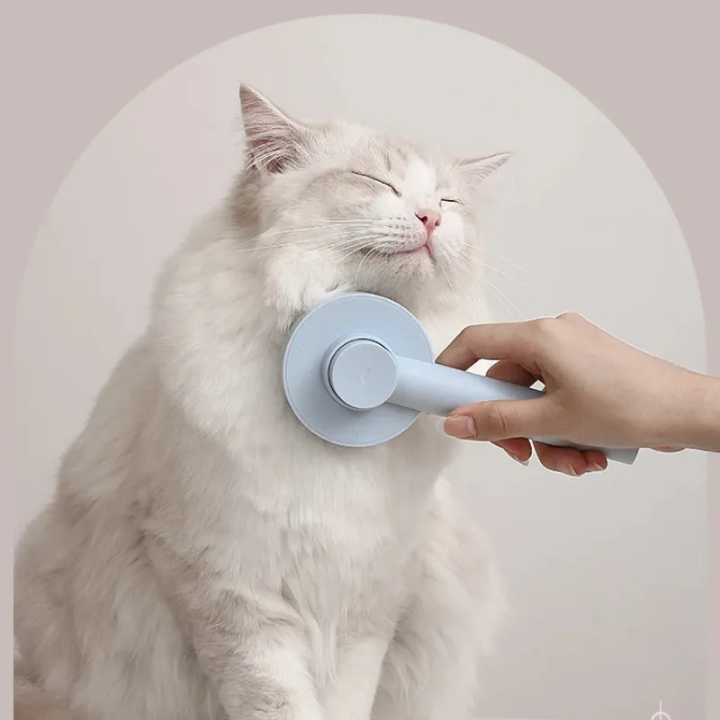Brosse Aiguille Auto-Nettoyante pour Animaux | Peigne et Massage Chien Chat