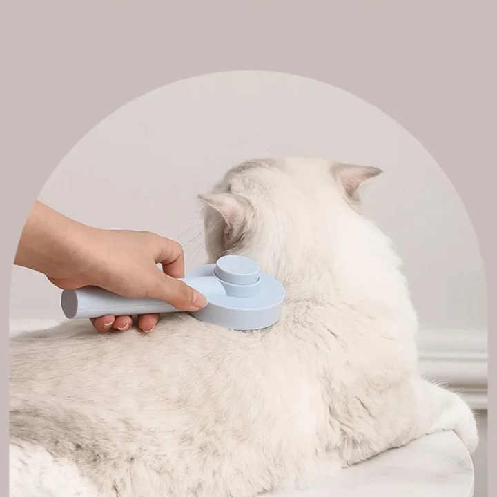 Brosse Aiguille Auto-Nettoyante pour Animaux | Peigne et Massage Chien Chat