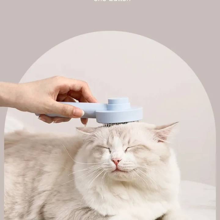 Brosse Aiguille Auto-Nettoyante pour Animaux | Peigne et Massage Chien Chat