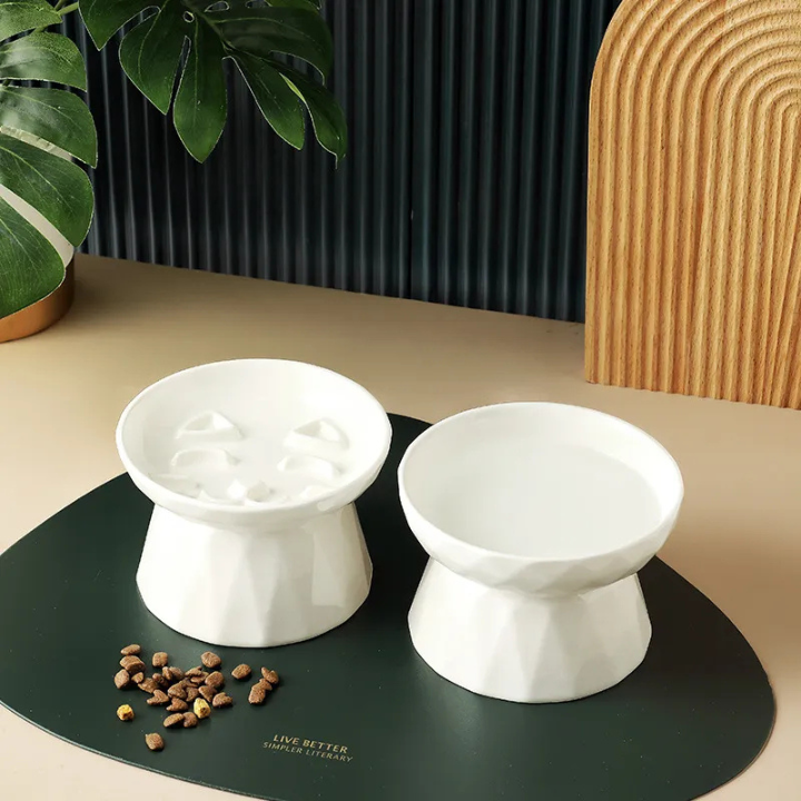 Bol pour Chat Ergonomique | Protection de la Colonne Vertébrale et Confort