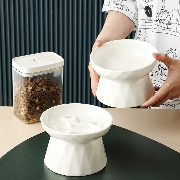 Bol pour Chat Ergonomique | Protection de la Colonne Vertébrale et Confort