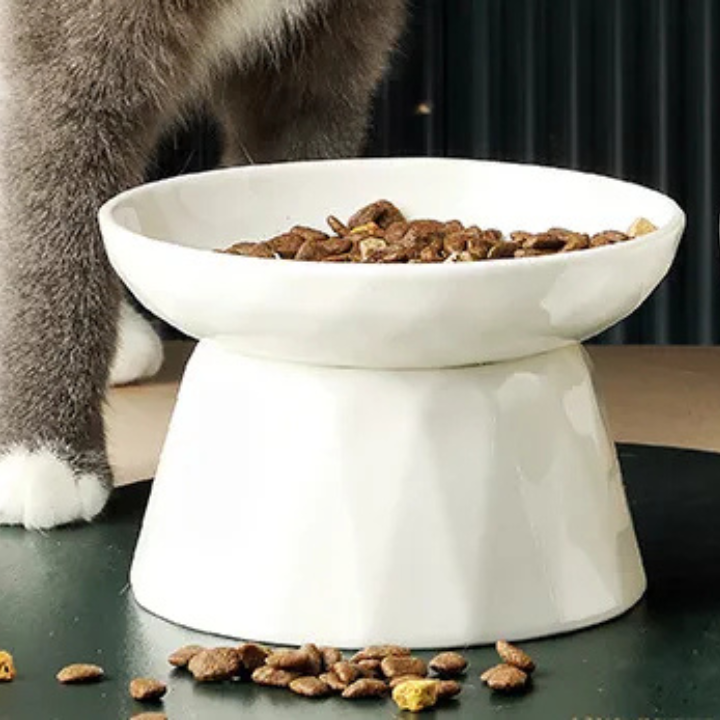 Bol pour Chat Ergonomique | Protection de la Colonne Vertébrale et Confort