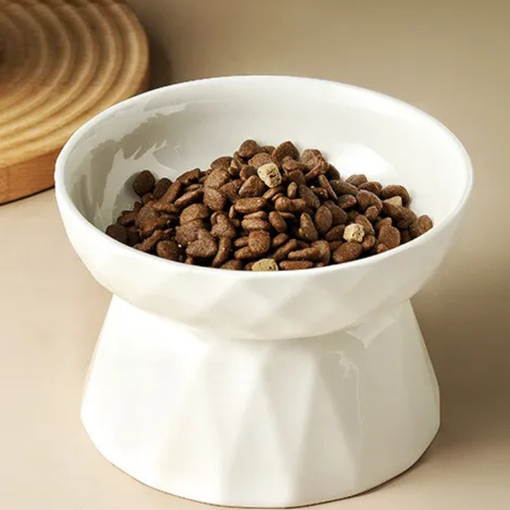 Bol pour Chat Ergonomique | Protection de la Colonne Vertébrale et Confort