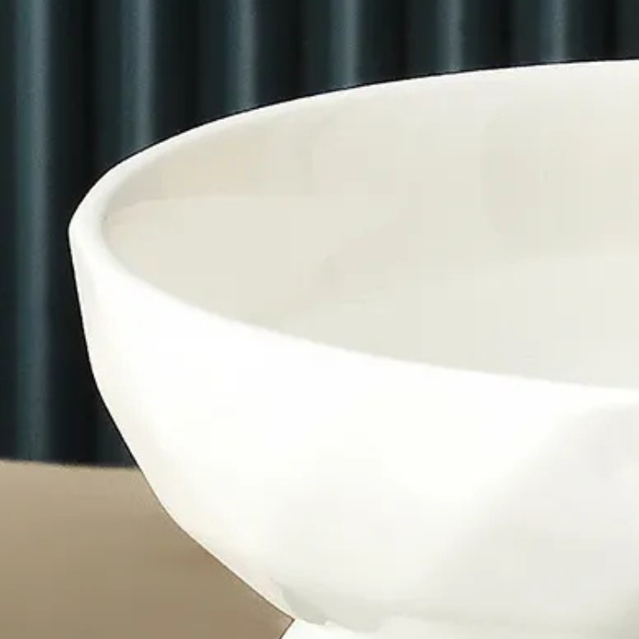 Bol pour Chat Ergonomique | Protection de la Colonne Vertébrale et Confort