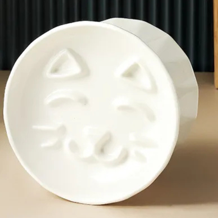 Bol pour Chat Ergonomique | Protection de la Colonne Vertébrale et Confort