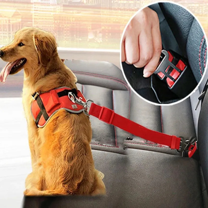 Ceinture Sécurité Animaux Réglable | Harnais Voiture pour Chien & Chat