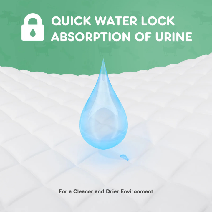 Couches Jetables Chiens Étanches | Absorption Rapide et Soin Propreté