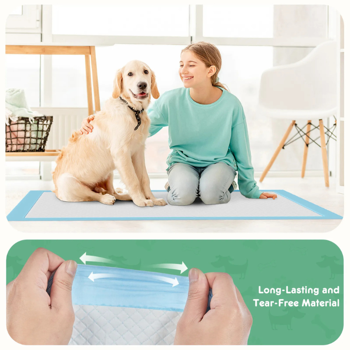 Couches Jetables Chiens Étanches | Absorption Rapide et Soin Propreté