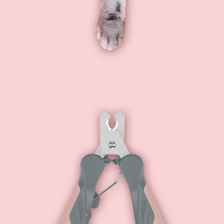 Coupe‑ongles pour Chien et Chat | Entretien Griffes Sûr et Confortable