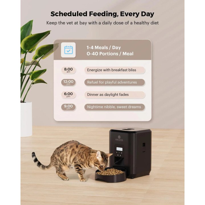 Distributeur Automatique Intelligent pour Animaux | Programmation & Portions