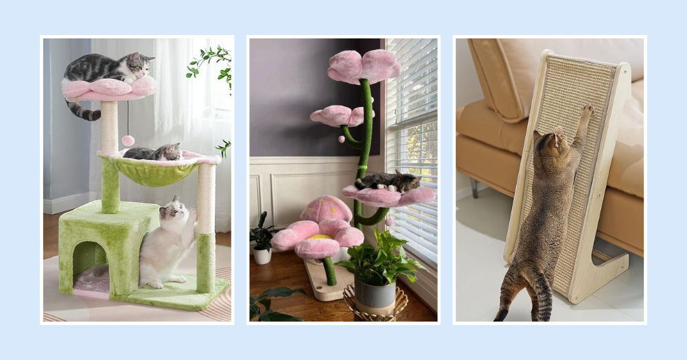 Le guide ultime pour garder votre chat d’intérieur actif : jouets et astuces efficaces