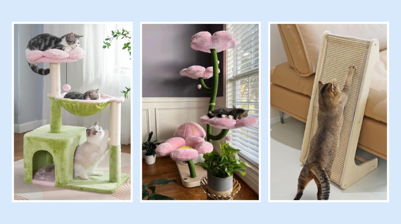 The Ultimate Guide to Keeping Your Indoor Cat Active: Toys and Tricks That Truly Work