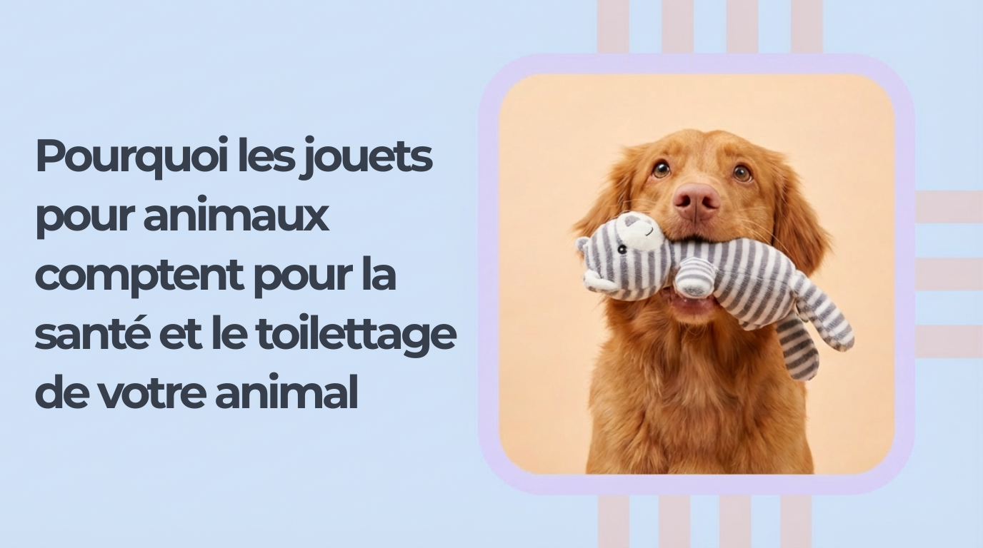 Pourquoi les jouets pour animaux comptent pour la santé et le toilettage de votre animal