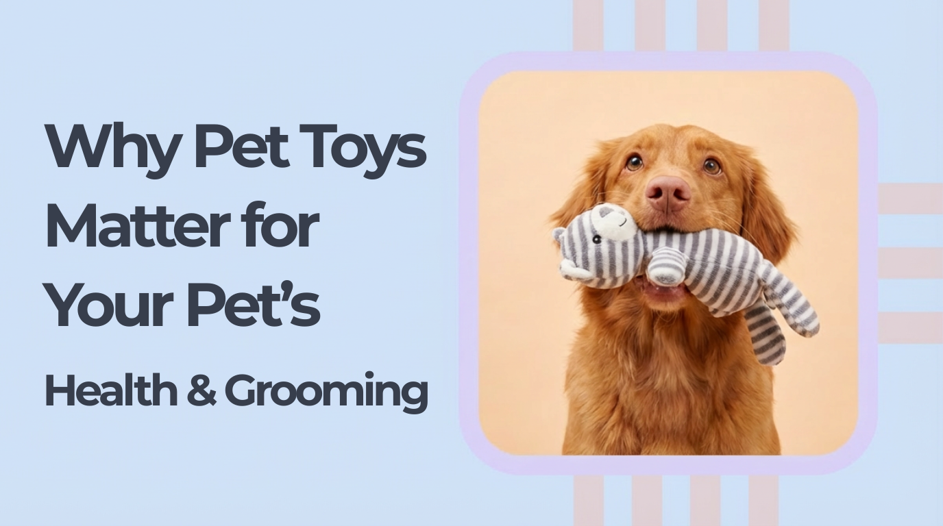 Why Pet Toys Matter for Your Pet’s Health & Grooming