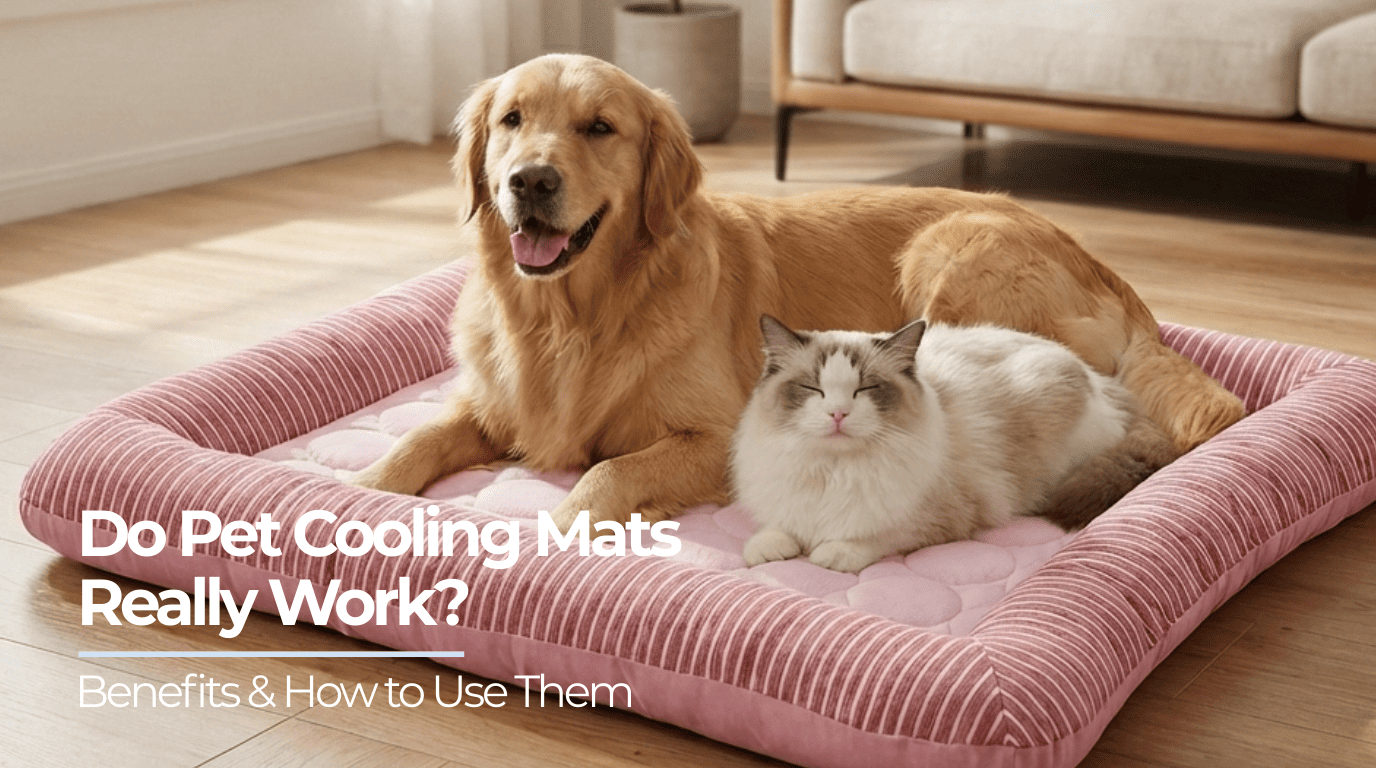 Are cooling mats for pets really effective? Benefits and usage tips