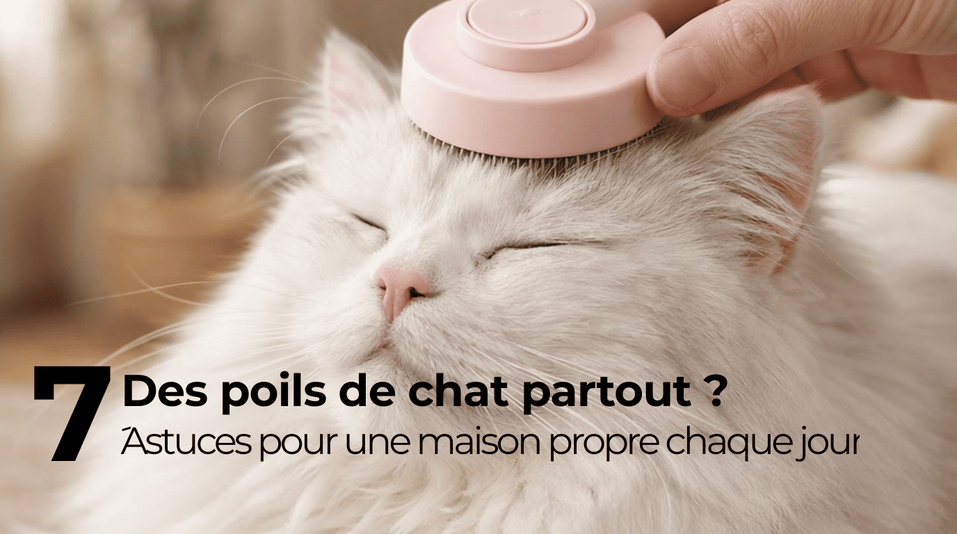 Des poils de chat partout ? 7 Astuces efficaces et détaillées pour garder une maison propre chaque jour