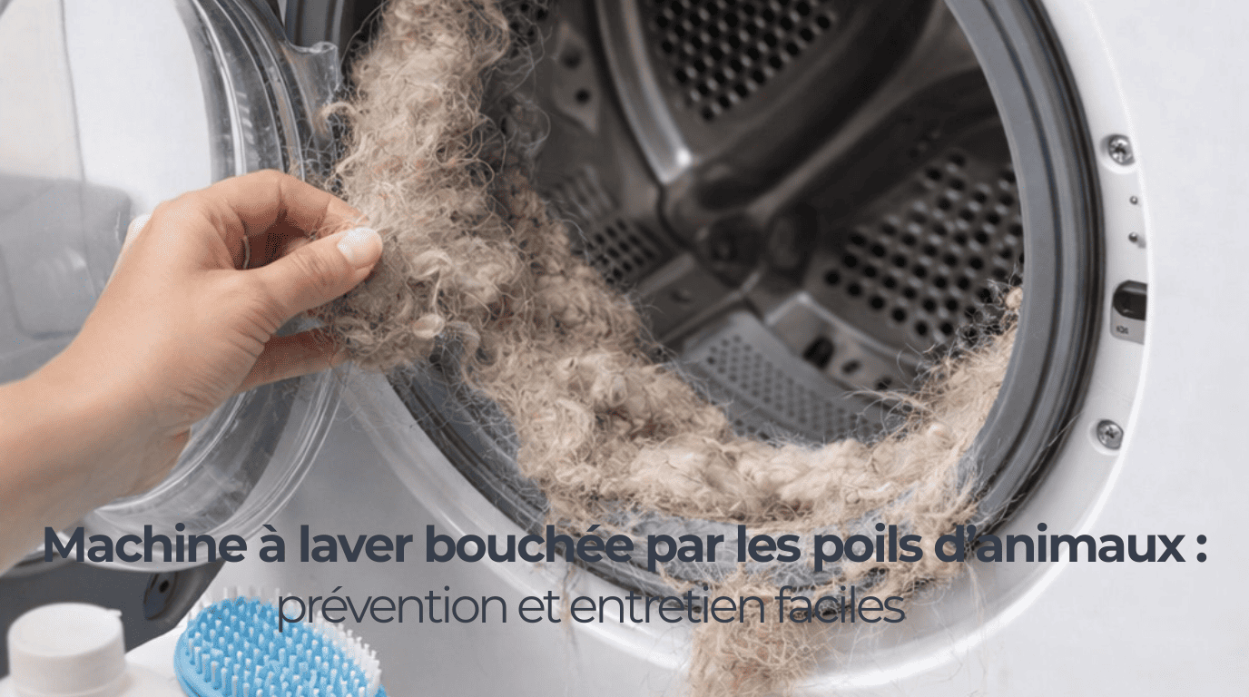 Machine à laver bouchée par les poils d’animaux : prévention et entretien faciles