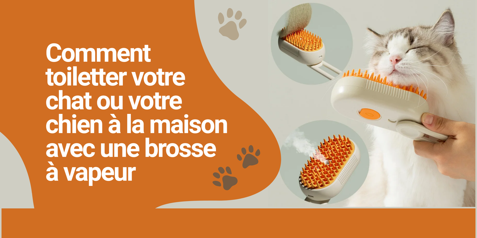 Comment toiletter votre chat ou votre chien à la maison avec une brosse à vapeur