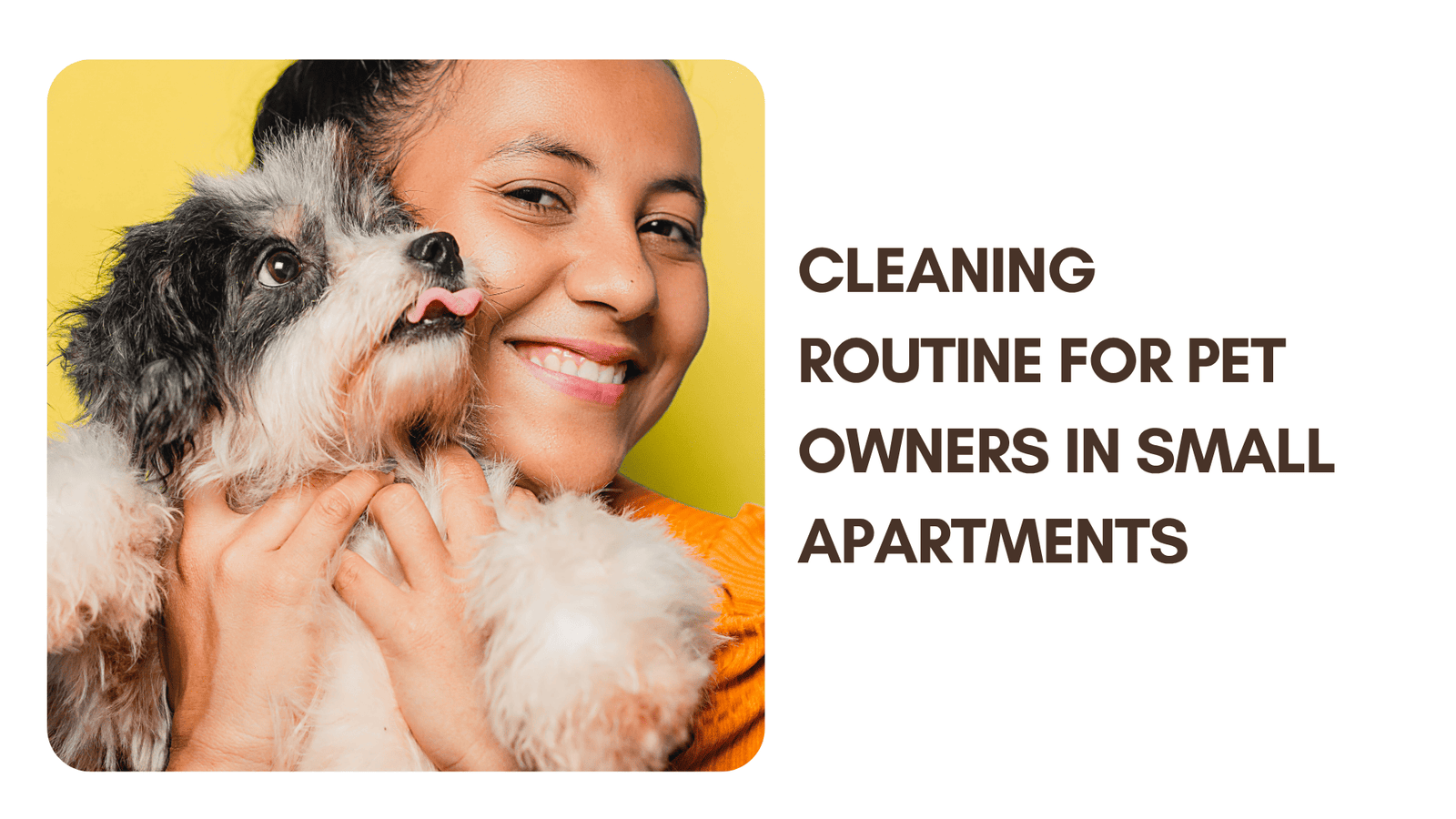 Complete Cleaning Routine for Pet Owners at Home (Step-by-Step Guide for a Fresh & Clean Space)